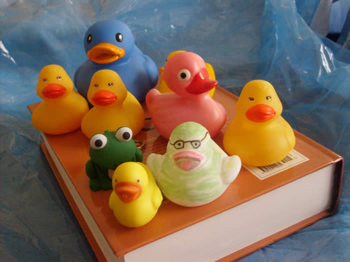 silly rubber ducks of various colors on a book